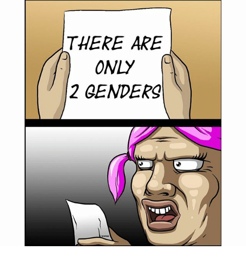 There are only 2 genders shirt
